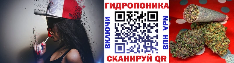 Где купить наркотики Александровск-Сахалинский Марихуана КОКАИН МЕФ